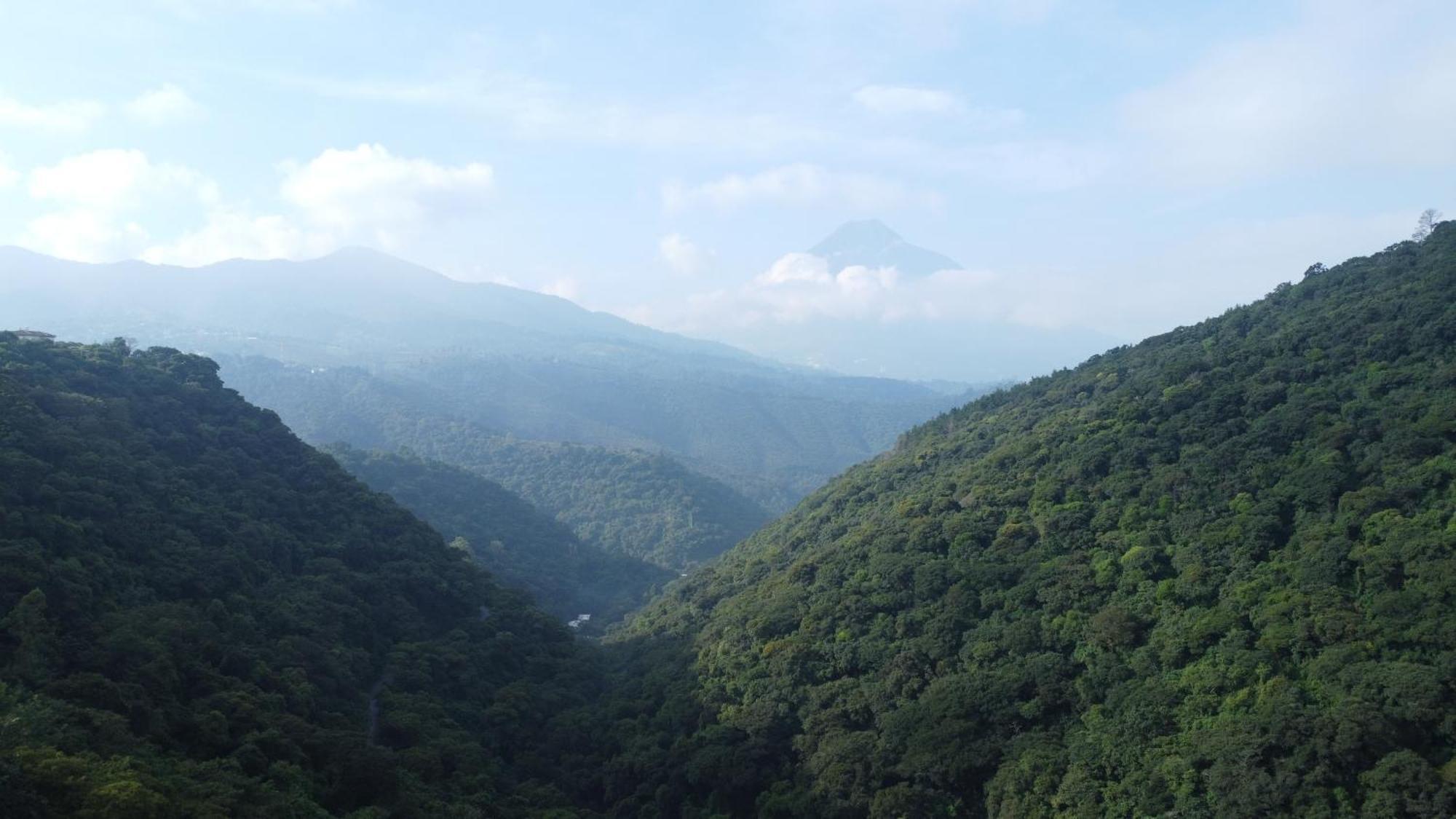 Finca San Mateo - Private Luxury Coffee Estate In Antigua Guatemala Exterior foto